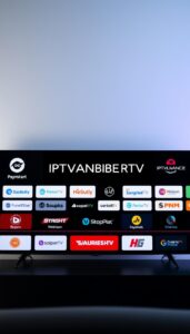 Wie wählt man einen IPTV Anbieter?